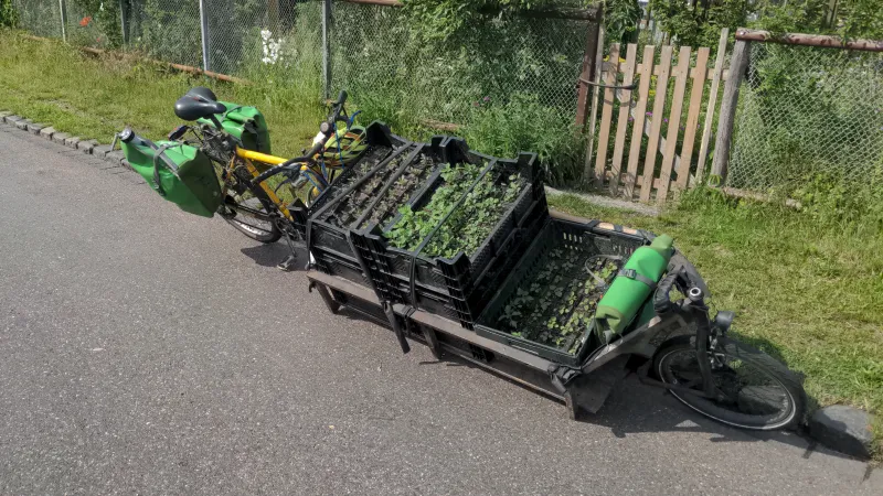 Auentee Firmenfahrrad - Lastenrad für nachhaltigen Transport
